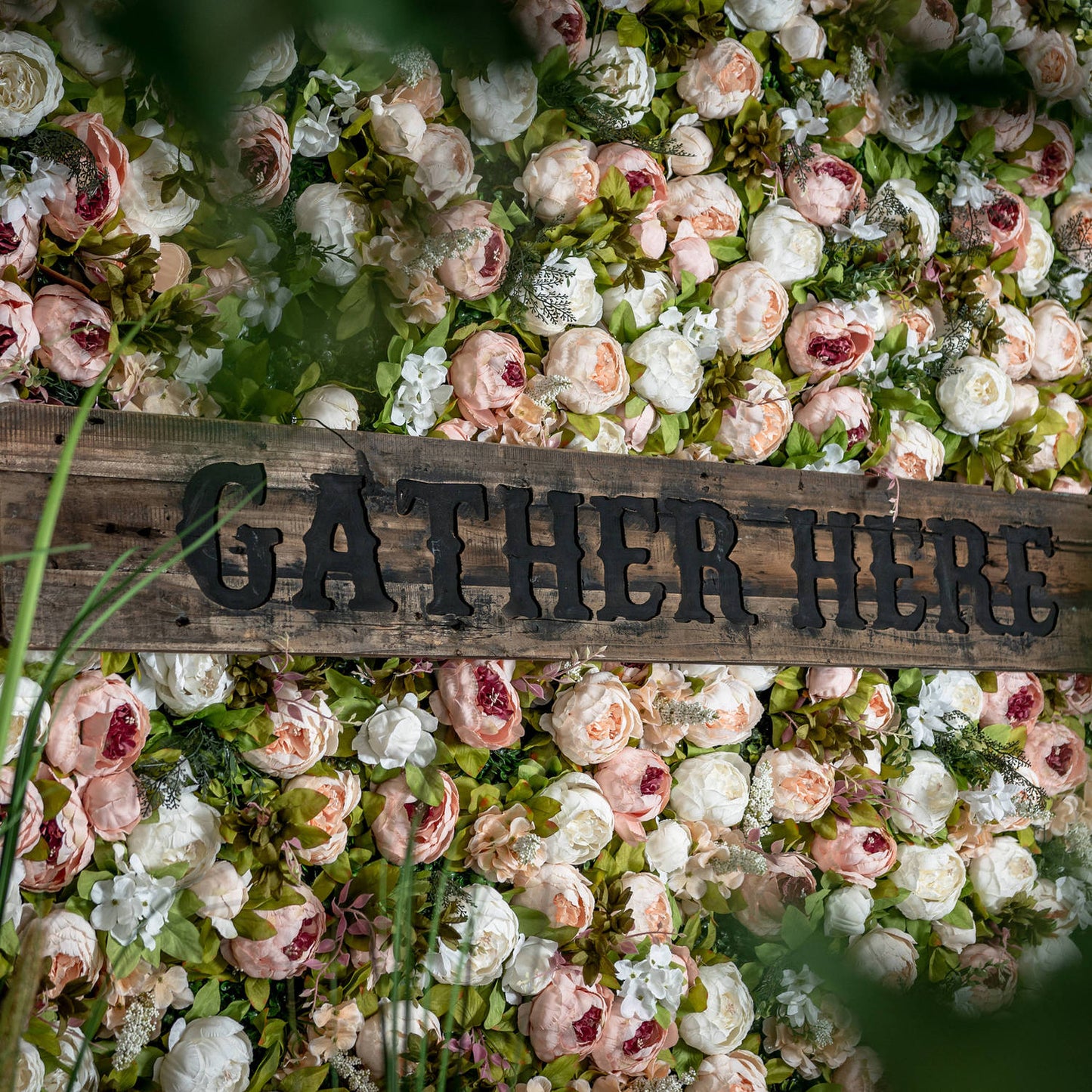 Peony Flower Wall
