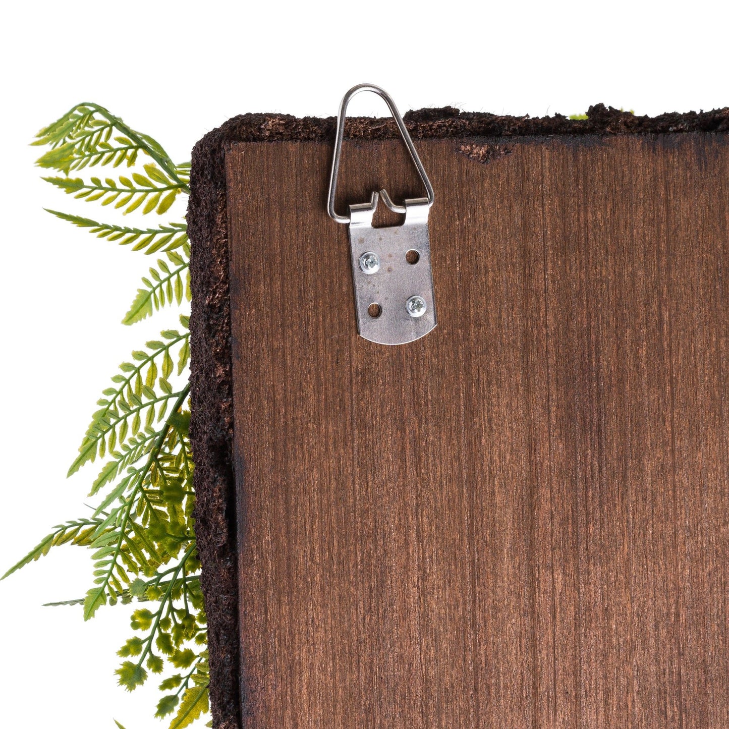 Fern And Greenery Wall Panel